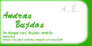 andras bujdos business card